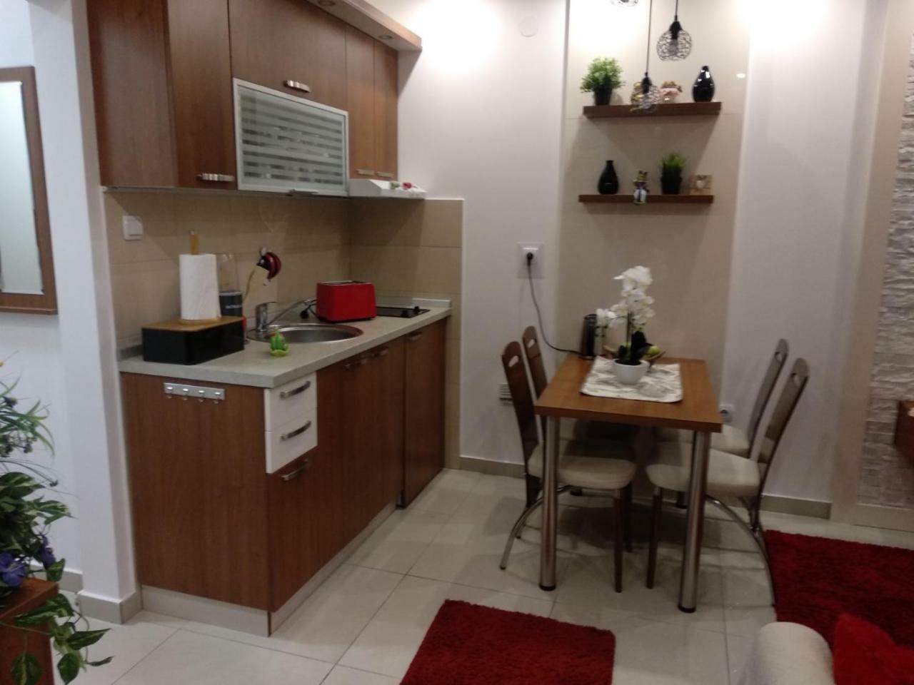 Vesna Apartman Vrnjačka Banja Esterno foto